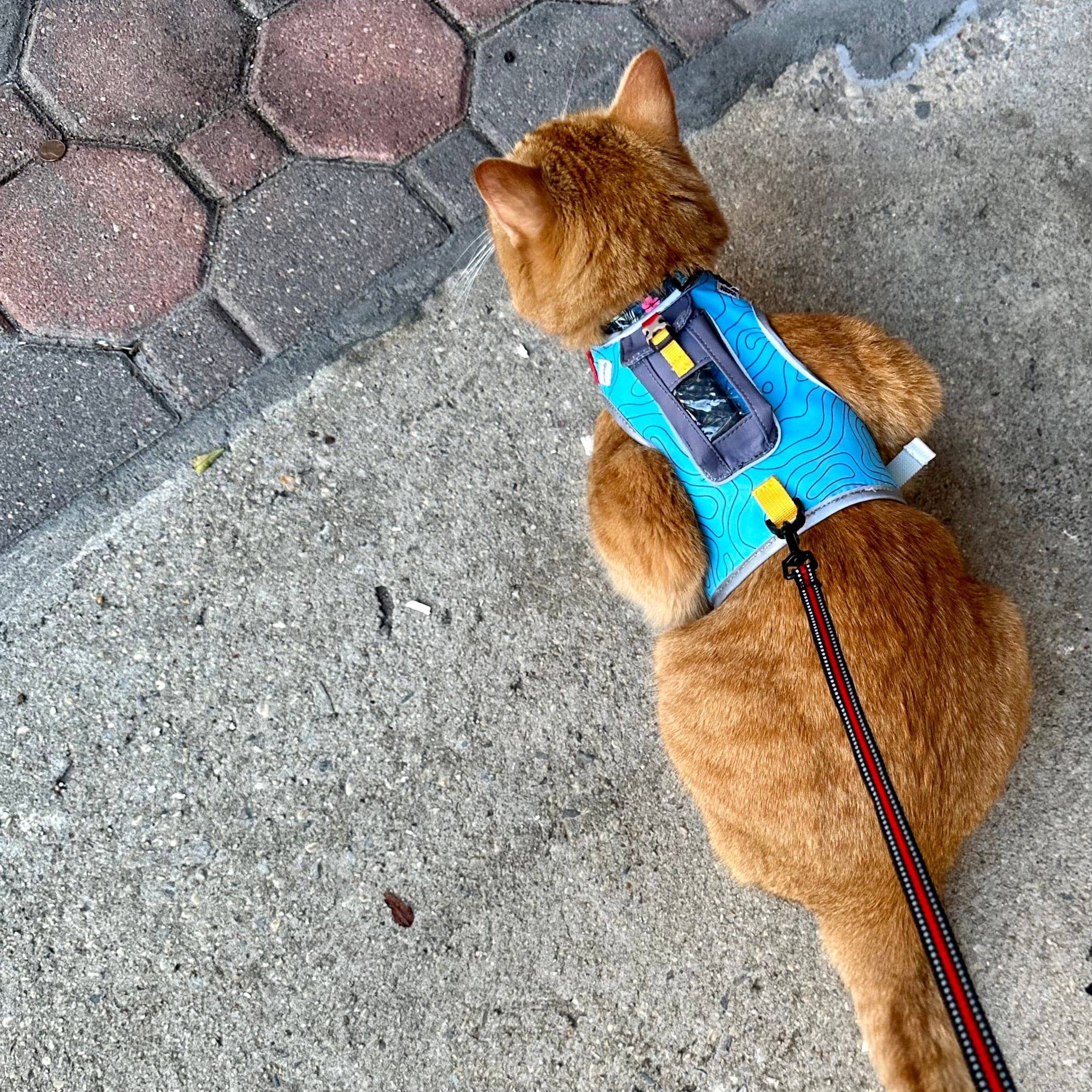 Travel Cat | Your Cat Backpack - "The Pathfinder" Cat Harness with GPS Tracker Pocket - Power: Orange Sunset / L